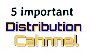 Distribution Channels: 5 Important Channels of Distribution