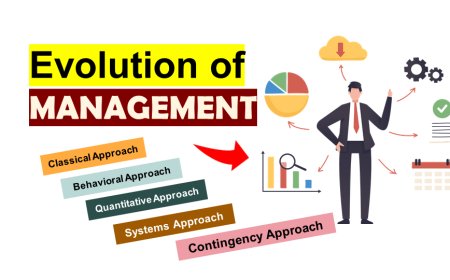 Evolution of Management