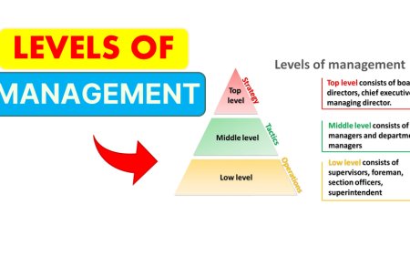 Different Levels of Management
