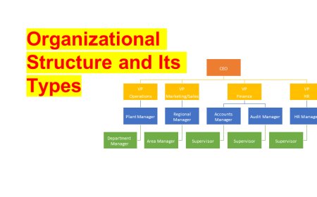 Organizational Structure and Its Types