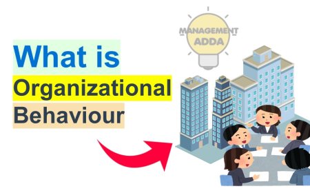 What is Organizational Behavior?