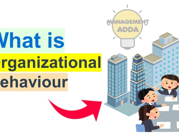 What is Organizational Behavior?