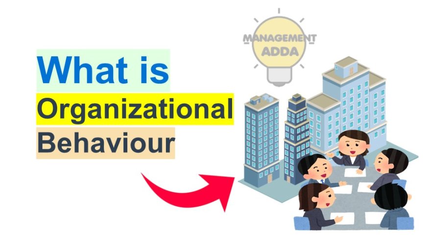 What is Organizational Behavior?