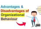Advantages and Disadvantages of Organizational Behavior