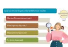 Approaches to Study Organizational Behavior