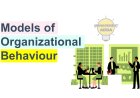Models of Organizational Behavior