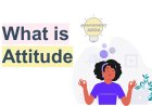 What is Attitude