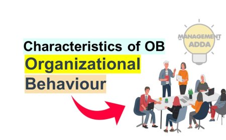 Characteristic of Organizational Behavior