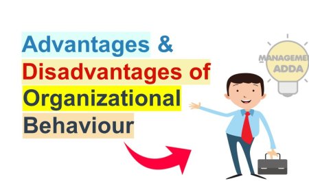 Advantages and Disadvantages of Organizational Behavior