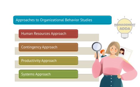 Approaches to Study Organizational Behavior