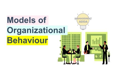 Models of Organizational Behavior