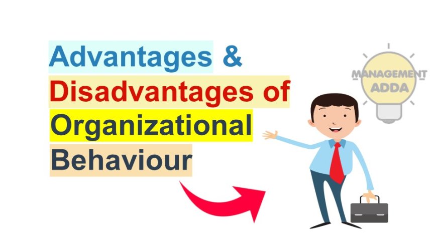 Advantages and Disadvantages of Organizational Behavior