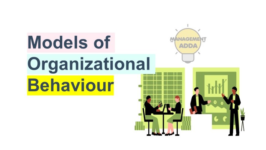 Models of Organizational Behavior