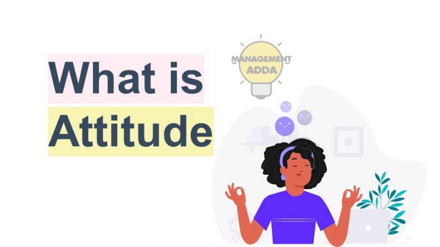 What is Attitude