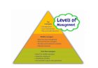 Levels of Management