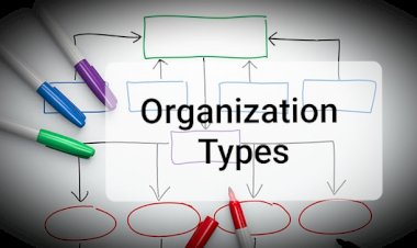 Organisation Type