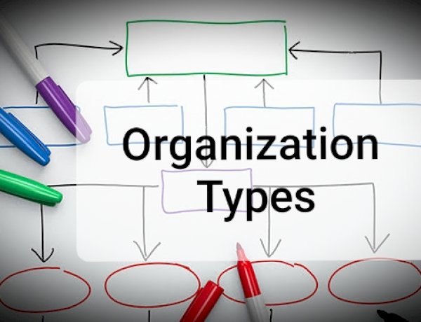 Organisation Type